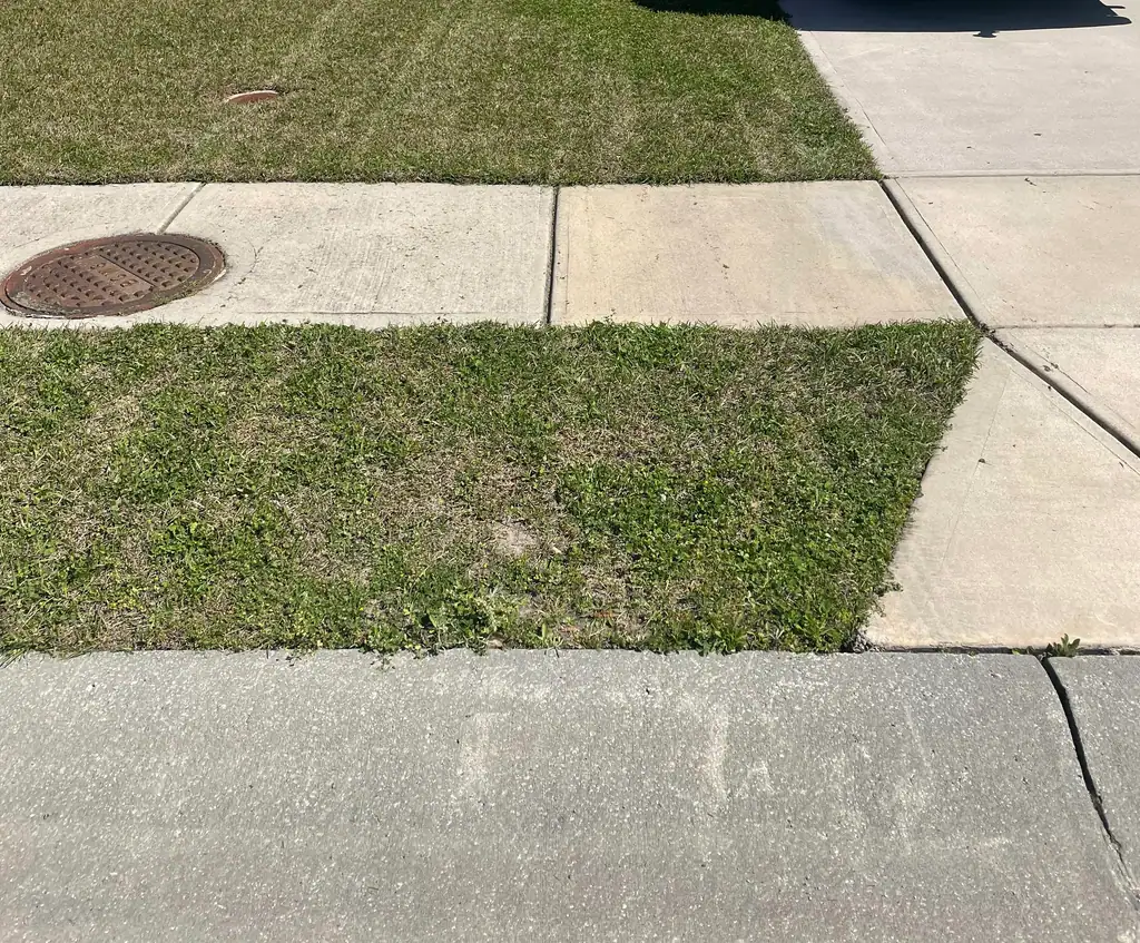 Front lawn mowed and edged where it meets the sidewalk and driveway