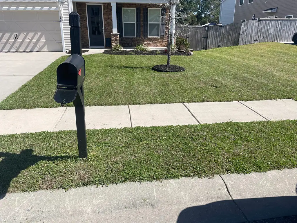 Front yard with a black mailbox, freshly mowed lawn and a clean sidewalk strip